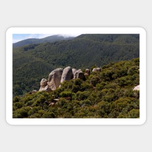 Rock Outcrop Mt Oberon Sticker